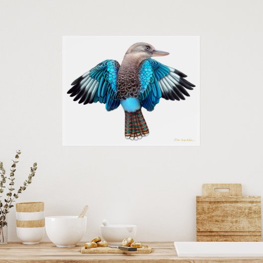 Blue Winged Kookaburra Print Poster (Küche)
