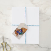 Blue Winged Pixie Geschenkanhänger (Mit Garn)