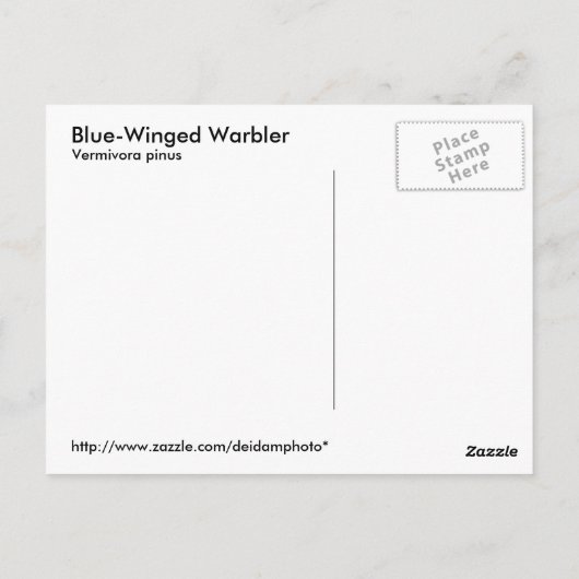 Blue-Winged Warbler-Postkarte Postkarte (Rückseite)