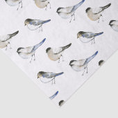 Blue Winged Winter Warbler Birds Seidenpapier (Detail)