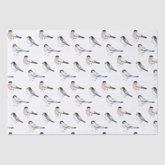 Blue Winged Winter Warbler Birds Seidenpapier (Vorderseite)