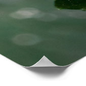 Blue Wings Poster (Ecke)