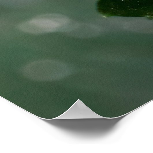 Blue Wings Poster (Ecke)