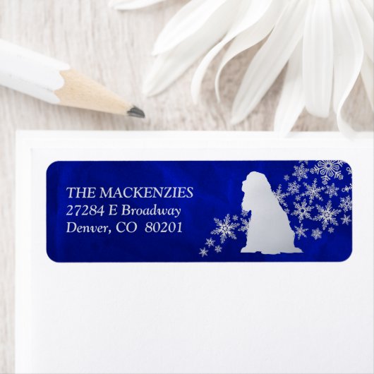 Blue Winter American Cocker Spanische Rücksendeadr (Insitu)