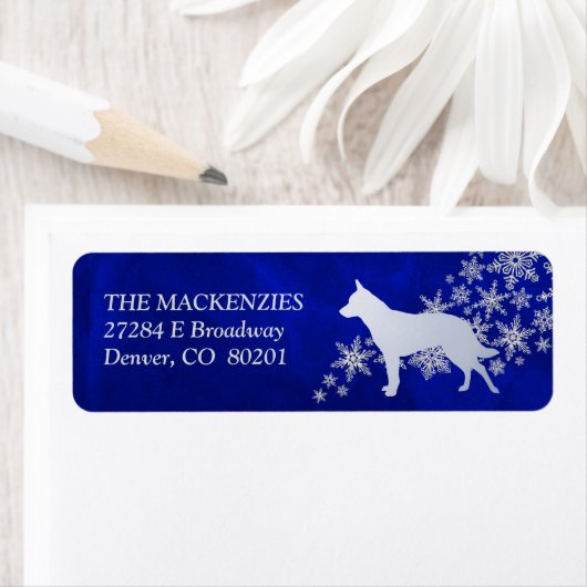 Blue Winter Australian Cattle Dog Rücksendeadresse (Insitu)