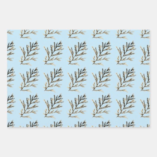 Blue Winter Christmas Tree Pine Branch Cones Geschenkpapier Set (Vorderseite 2)