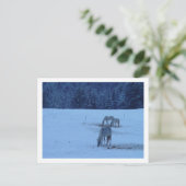 Blue Winter Horses Postcard Postkarte (Stehend Vorderseite)