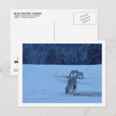 Blue Winter Horses Postcard Postkarte (Vorne/Hinten)