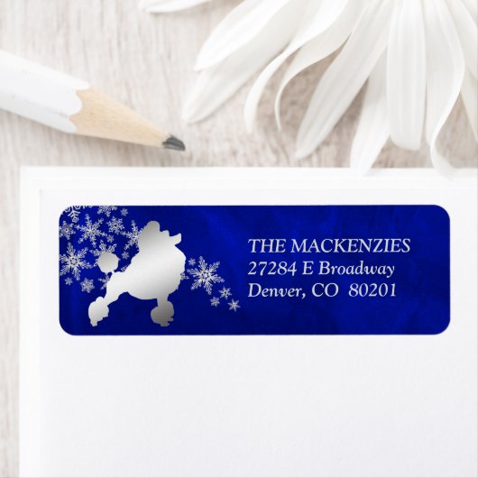 Blue Winter Poodle Rücksendeadresse (Insitu)