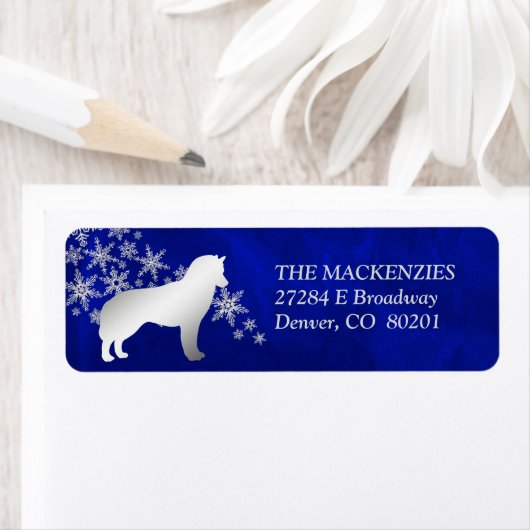 Blue Winter Siberian Husky Rücksendeadresse (Insitu)