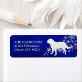 Blue Winter St Bernard Rücksendeadresse (Insitu)