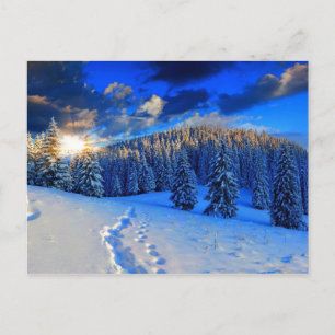 Blue Winter Sunrise Postkarte