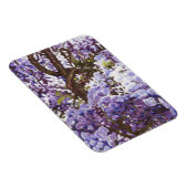 Blue Wisteria 2011 Magnet (Rechte Seite)
