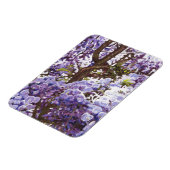 Blue Wisteria 2011 Magnet (Linke Seite)