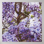 Blue Wisteria 2011 Poster (Vorne)