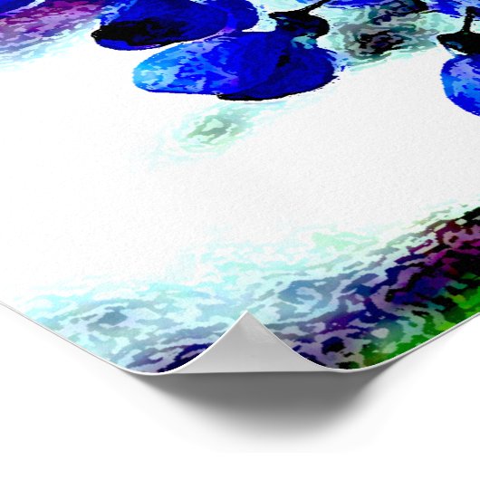 Blue Wisteria Poster (Ecke)