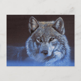 Blue Wolf Postkarte