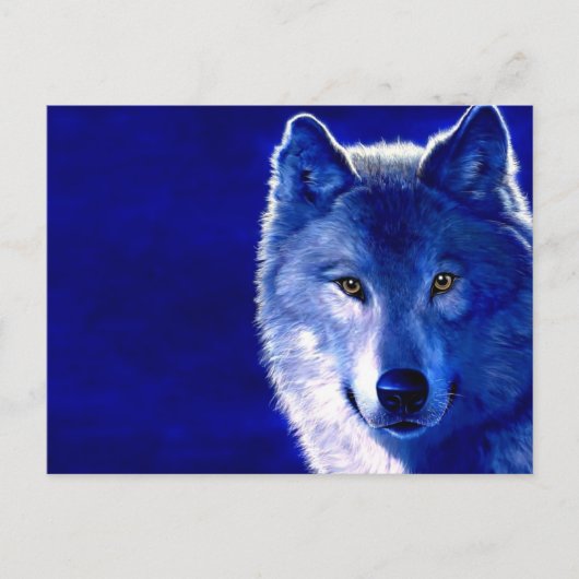 Blue Wolf Postkarte (Vorderseite)