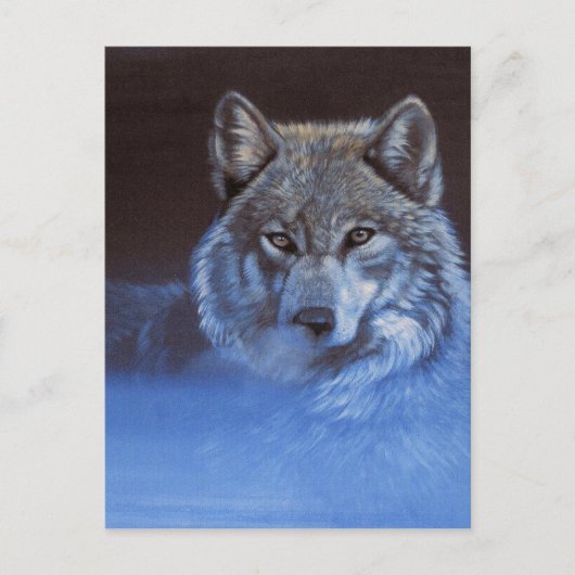Blue Wolf Postkarte (Vorderseite)