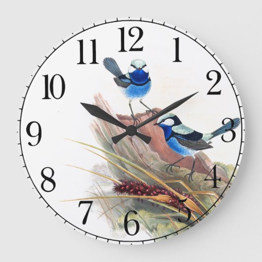 Blue Wren Birds Wildtiere Wall Clock Große Wanduhr (Vorderseite)