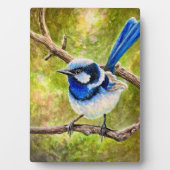Blue Wren - Fotoplatte (Vorderseite)