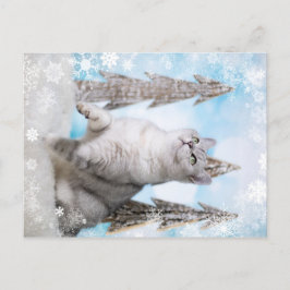 Blue XMAS 2018 Feiertagspostkarte