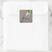 Blue & Yellow Budgie Quadratischer Aufkleber (Tasche)