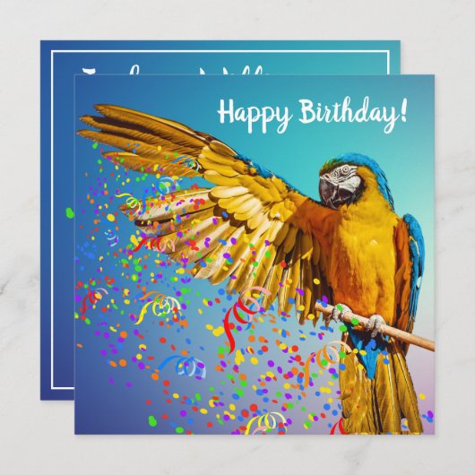 Blue & Yellow Macaw Throws Confetti (Vorne/Hinten)