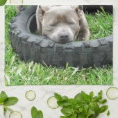 Blue Young Staffordshire Bull Terrier, Handtuch (Gefaltet)