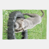 Blue Young Staffordshire Bull Terrier, Handtuch (Horizontal)