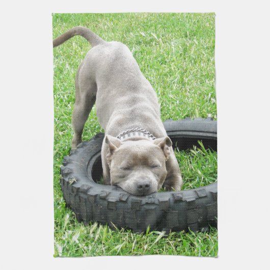 Blue Young Staffordshire Bull Terrier, Handtuch (Vertikal)