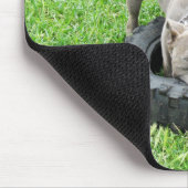 Blue Young Staffordshire Bull Terrier, Mousepad (Ecke)