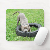 Blue Young Staffordshire Bull Terrier, Mousepad (Mit Mouse)