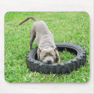Blue Young Staffordshire Bull Terrier, Mousepad