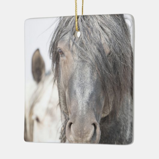 Blue Zeus and Iris Wild Hoofbeats Ornament (Links)