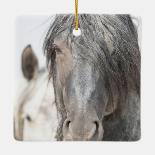 Blue Zeus and Iris Wild Hoofbeats Ornament (Rückseite)