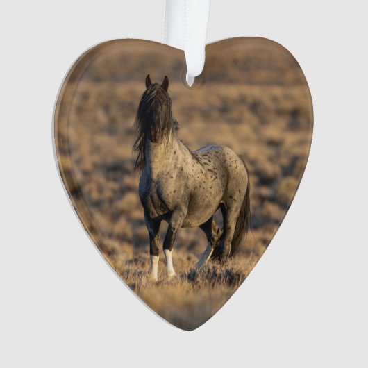 Blue Zeus at Dawn Wild Hoofbeats Ornament (Vorderseite)