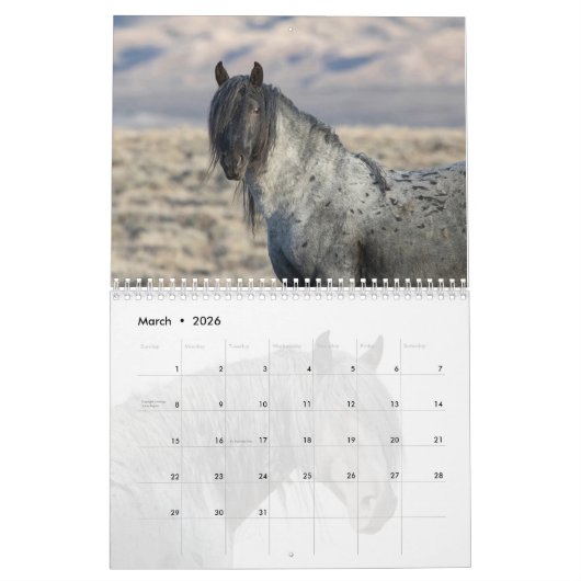 Blue Zeus: Herz des Kalenders der Roten Wüste Kalender (Mär 2026)