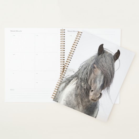 Blue Zeus Planner Planer (Anzeige)