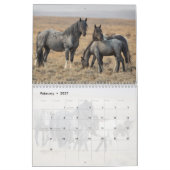 Blue Zeus Wild Horse Calendar Kalender (Feb 2027)