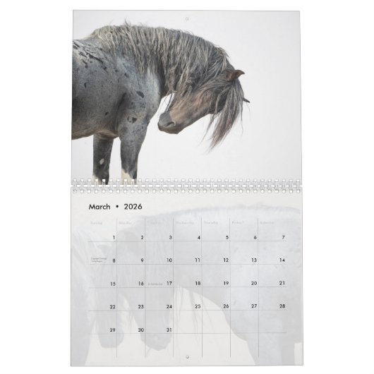 Blue Zeus Wild Horse Calendar Kalender (Mär 2026)