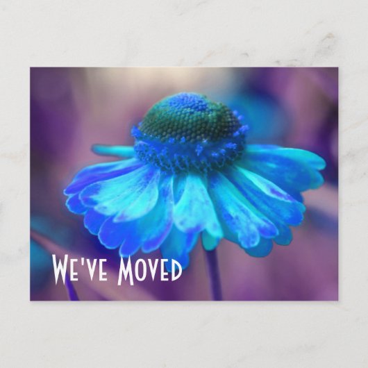 Blue Zinnia New Address Floral Postkarte (Vorderseite)
