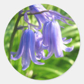 Bluebell-Blume - Aufkleber (Vorderseite)