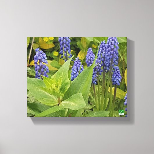 Bluebell Blume Foto drucken auf Leinwand (Vorderseite)
