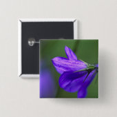 Bluebell Blume in Unabhängigkeit Pass in Button (Vorne & Hinten)