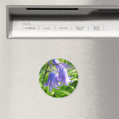 Bluebell Blume - Magnet (In Situ (Geschirrspüler))