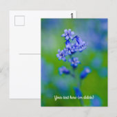 Bluebell Blume Postcard Postkarte (Vorne/Hinten)