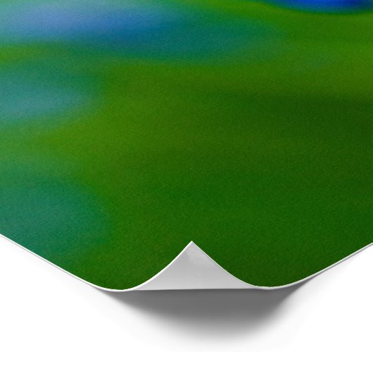 Bluebell Blume Poster (Ecke)