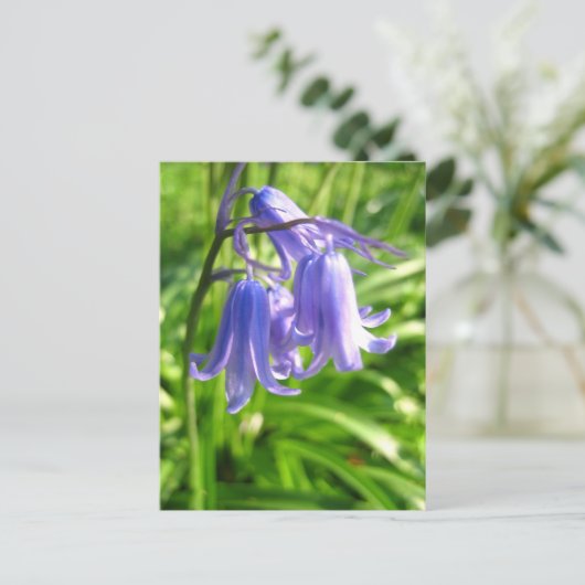 Bluebell-Blume - Postkarte (Stehend Vorderseite)