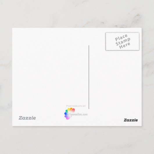 Bluebell-Blume - Postkarte (Rückseite)